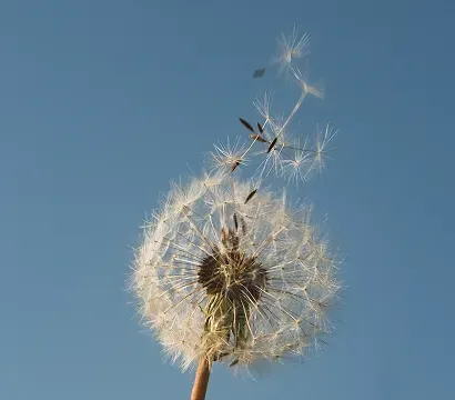 Émissions