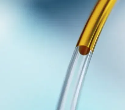 HVO
