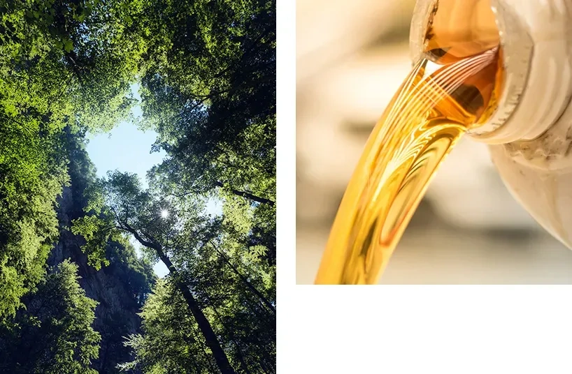 Biocombustible sostenible HVO