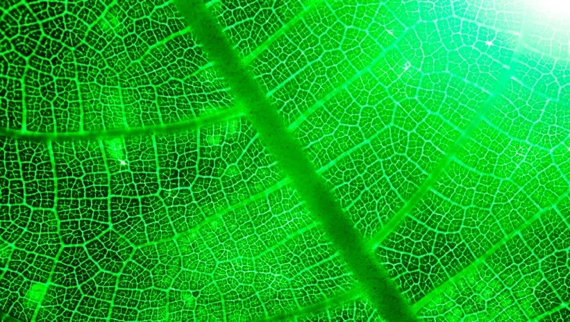Distributed Generation as a High-Availability Solution