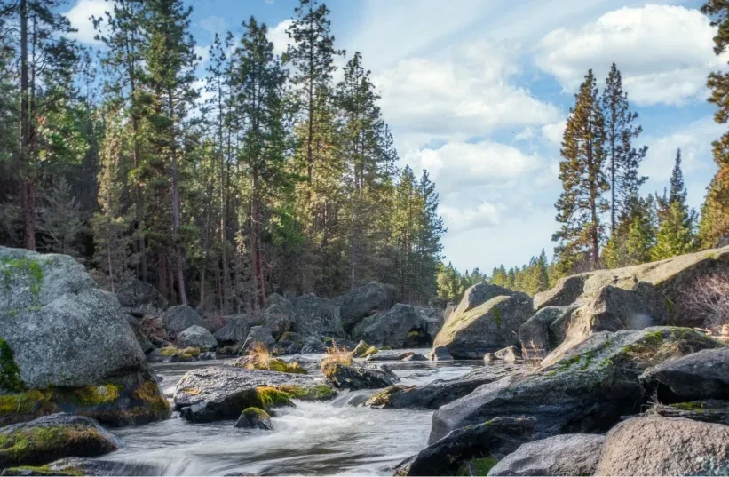 Paisaje con río de montaña