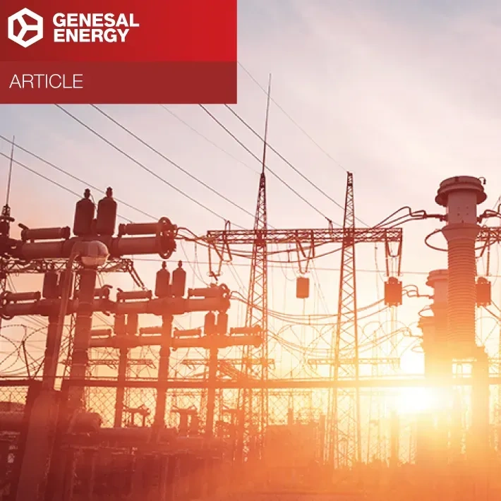 What is it and how does the Mains/Genset switching work?