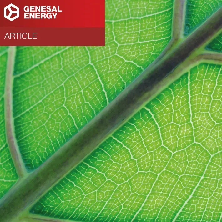 What is HVO fuel and why is it key in the energy transition?