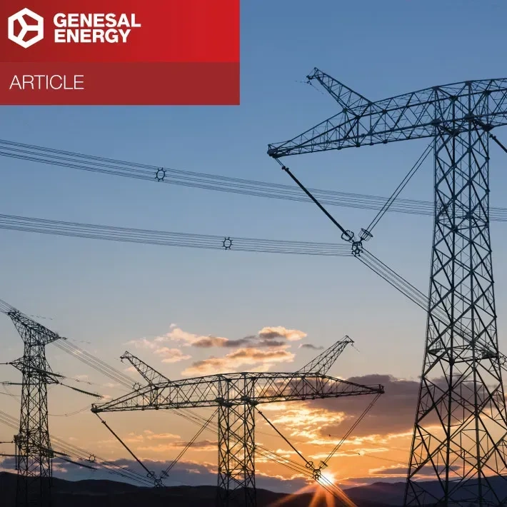 Generator Sets in Combined-Cycle Power Plants
