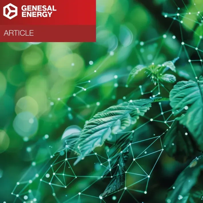 Advanced Technologies to Reduce Emissions in Diesel Generators