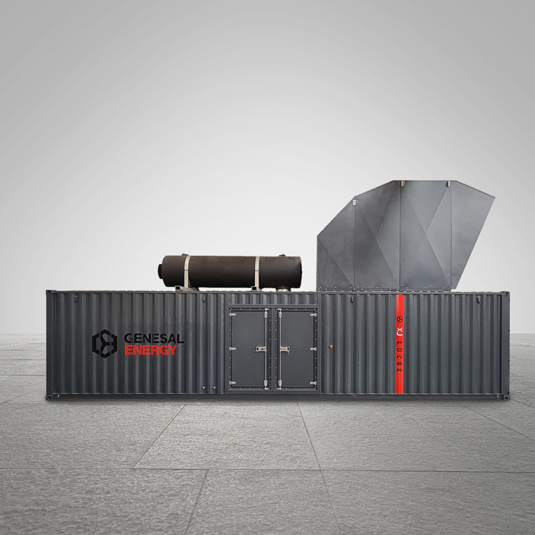 Generator set for a Cogeneration Plant in Germany