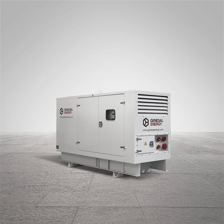 Hemos suministrado un grupo electrógeno para la flota de alquiler de nuestro distribuidor en Dinamarca