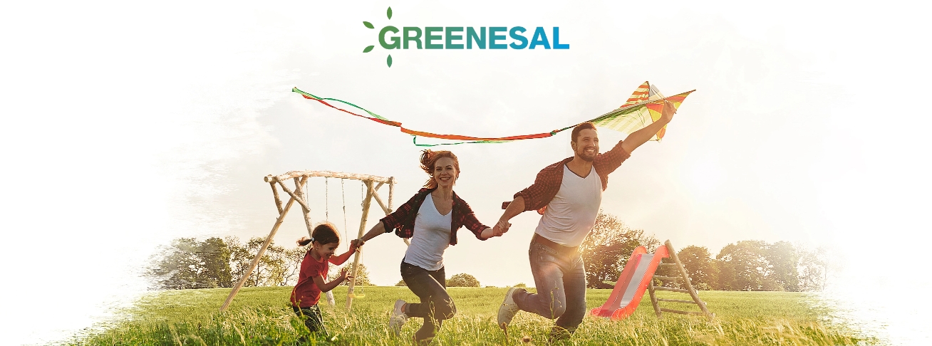 Greenesal - Grupos Electrógenos Sostenibles