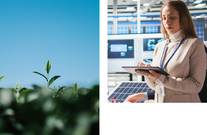 Naturaleza y tecnología trabajando juntas: luz solar entre hojas y análisis energético digital en entorno industrial