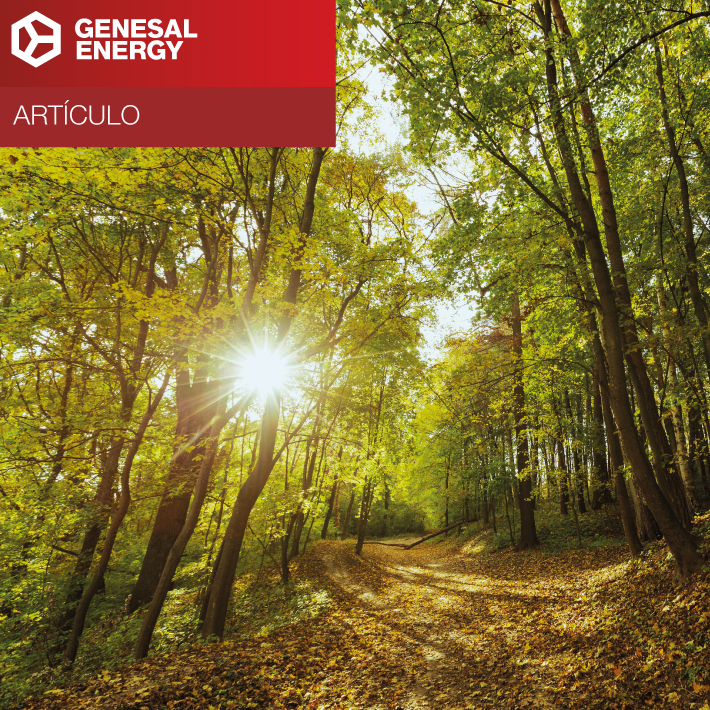 ge omnibus thumbnail