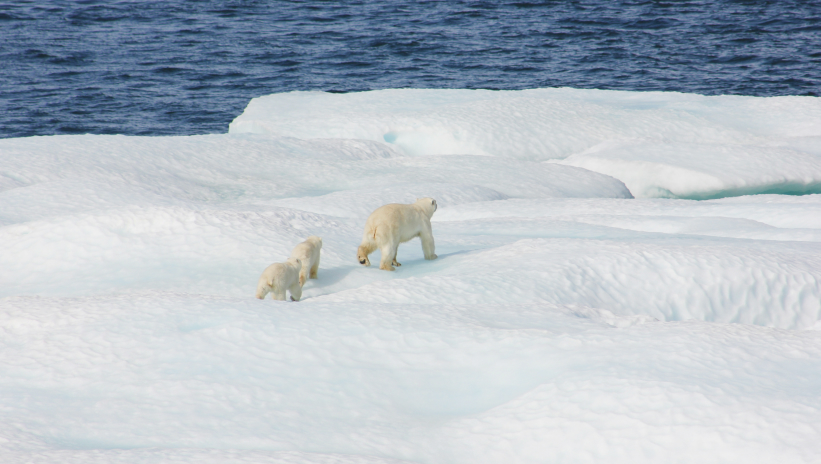 Técnicos revisando un panel solar en un entorno de trabajo técnico.